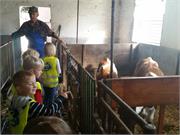 obisk kmetije KARLO  (08)